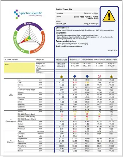 TruVu 360 Sample Report